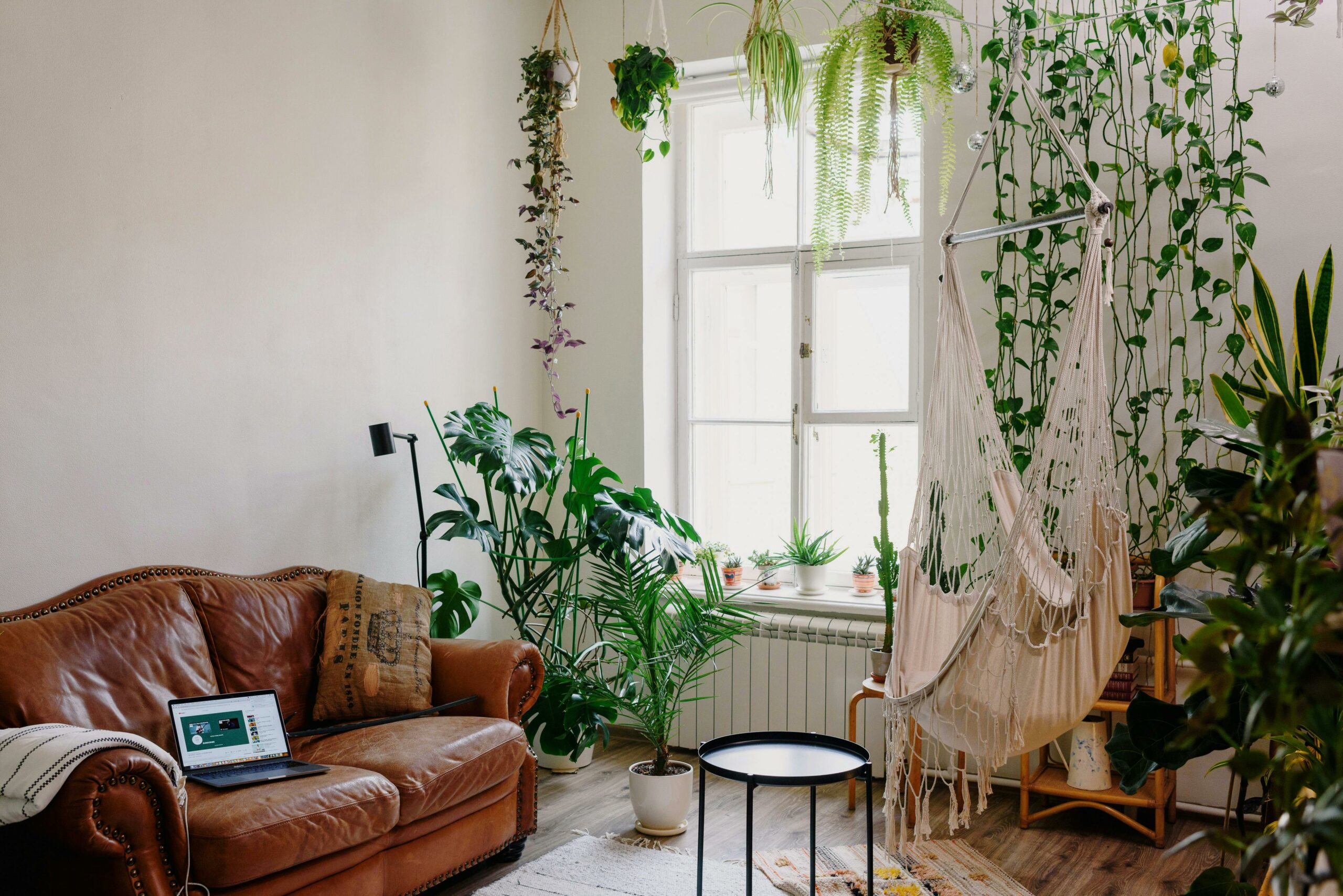 Les plantes alliées de la décoration d’intérieur